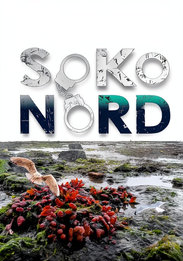 SoKo Nord Crime Thriller Kindle eBook Book 5 German Mystery-0